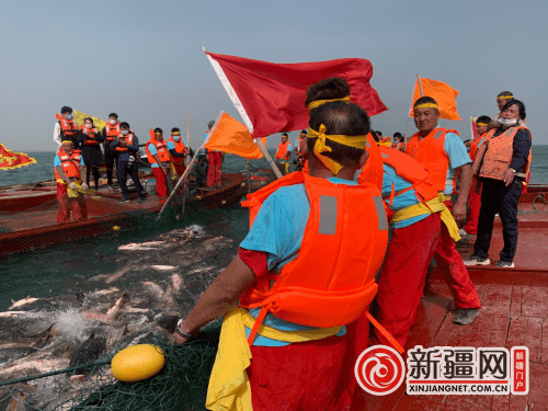 新疆省有多少人口_十九省市对口援疆两年 实现 两个百分百(3)