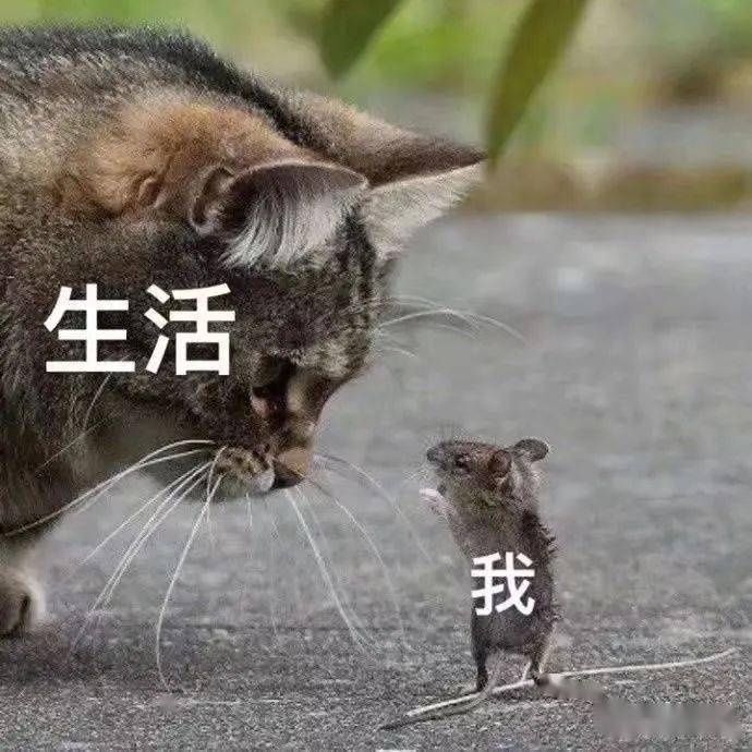 孩子,别冲动