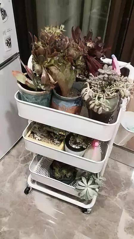 小推车|把它换个用法,还能多出10㎡的收纳空间!