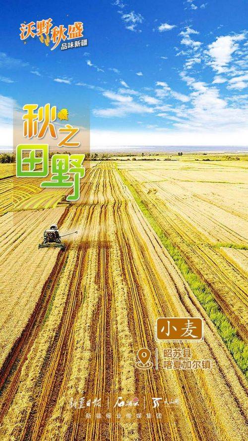 品味新疆 220622a72ef94b5f90eec9866a82d8d0.jpeg