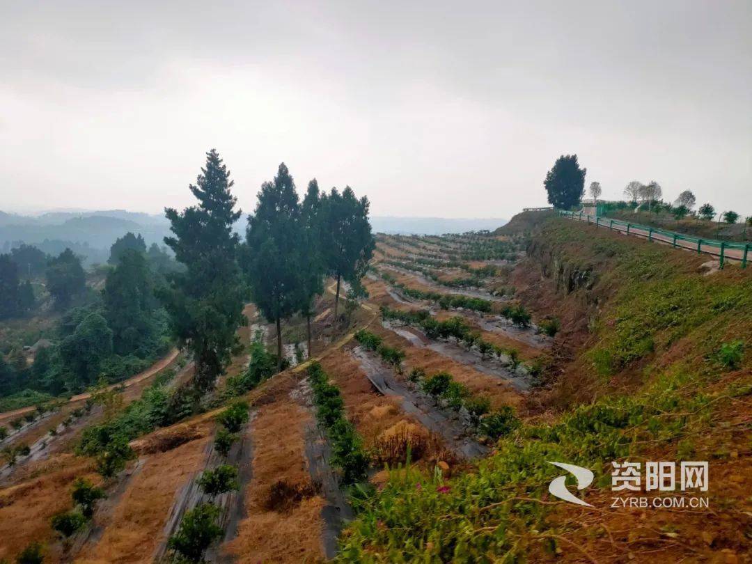 文旅高洞村 十一开园橘啤随便喝