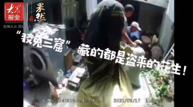 山东一百万身家女子开商务车偷300斤花生