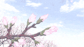 成分|花卉成分大赏 | 护肤居然还有这种“花”样操作？！