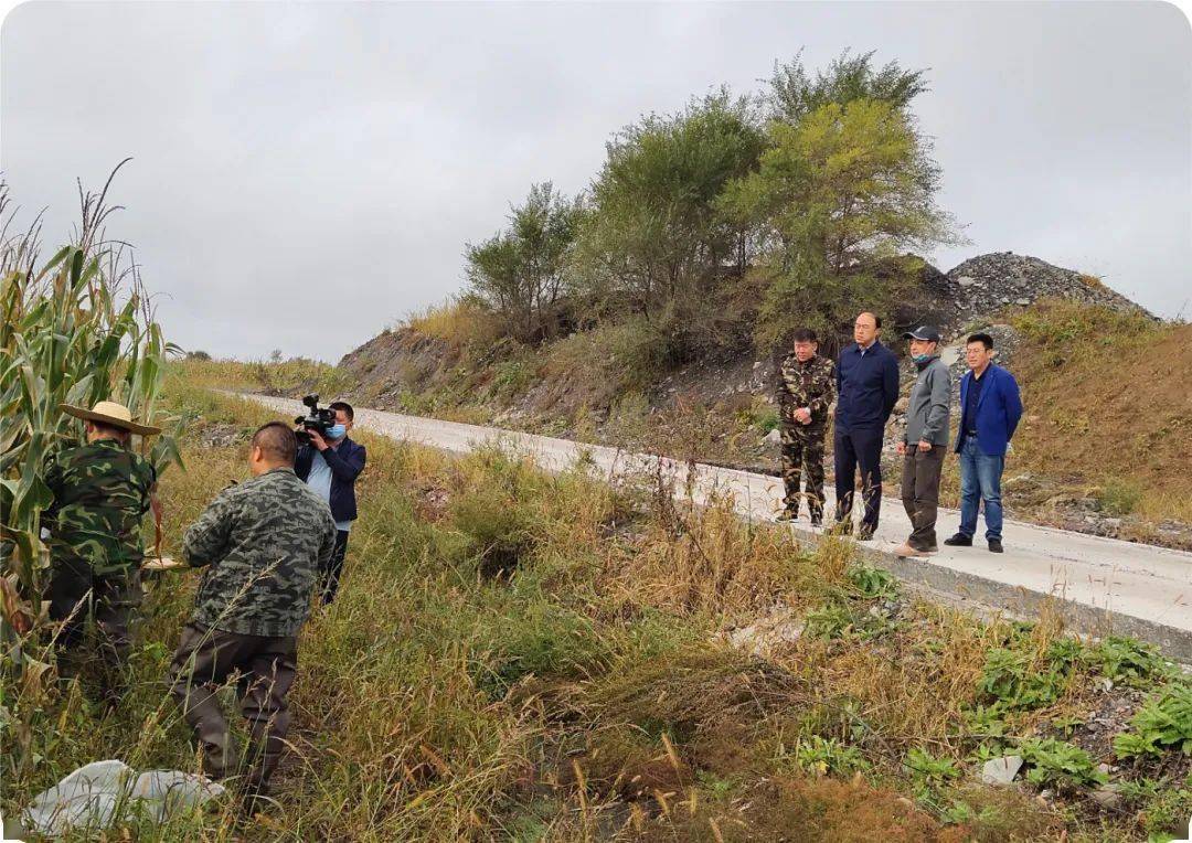 镇gdp归哪个部门统计_胃在哪个位置图(3)