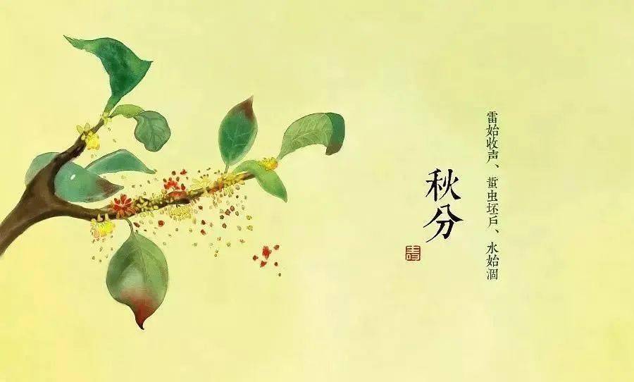 二十四节气|秋分