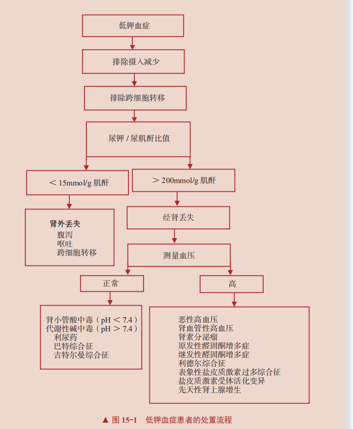 治疗|钾代谢紊乱：低钾血症