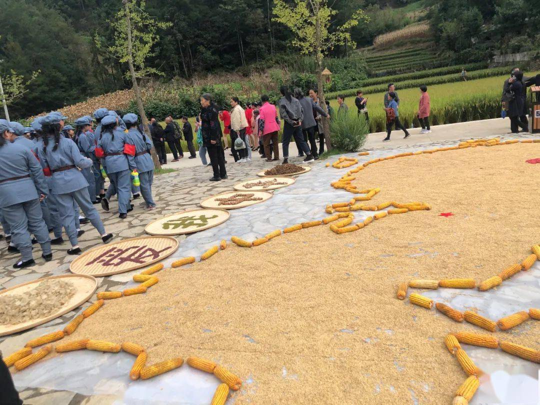 组图丨一组现场图片,带你感受丰收的喜悦!