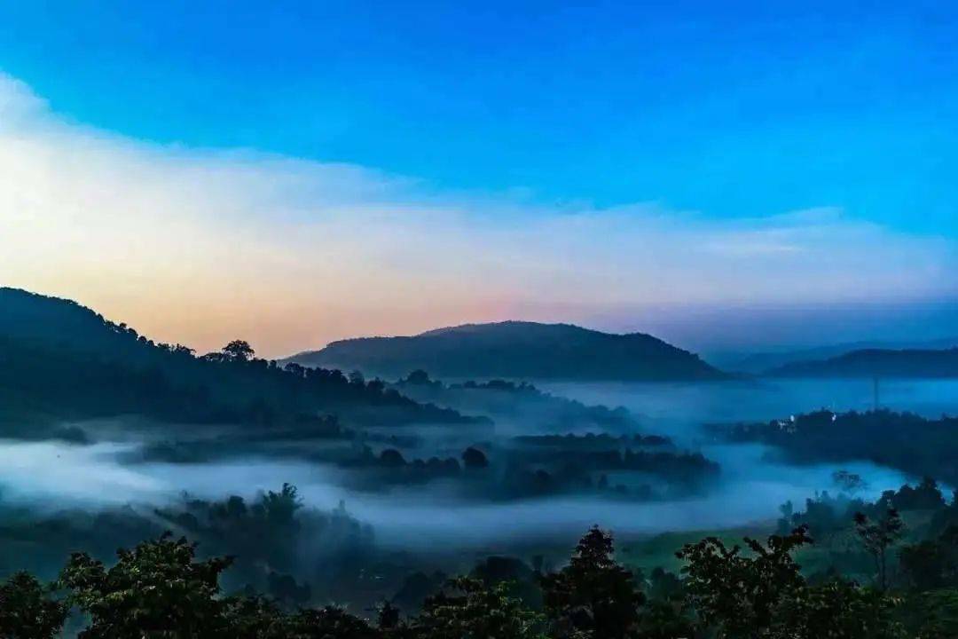 普洱茶越来越受欢迎,你关注的点在哪里?