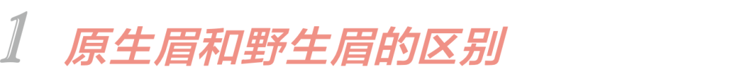 眉毛|戴口罩眉毛决定胜败!能瘦脸的原生眉你尝试了吗?