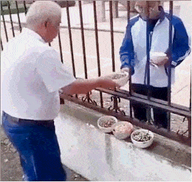 以迅雷不及掩耳之势侧摔在孩子身下, 饿的时候  外孙从城里回来