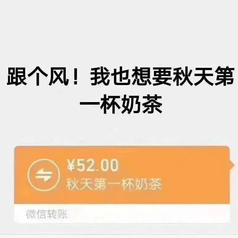 为什么秋天的第一杯奶茶要52块,是桶装的吗?