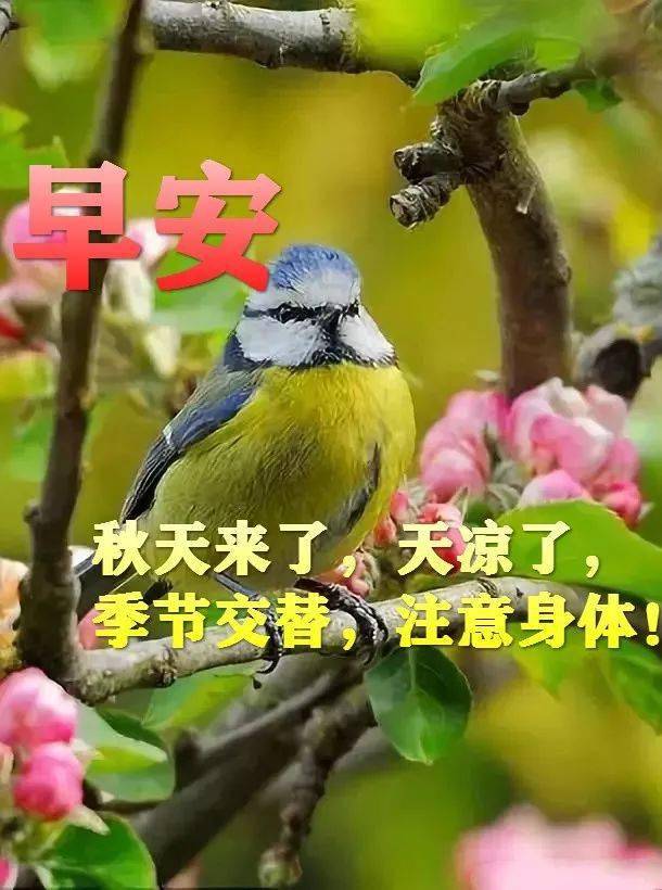 早上好问候美图,早安问候语句.