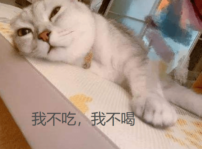 猫天天吃零食,会危害健康吗?