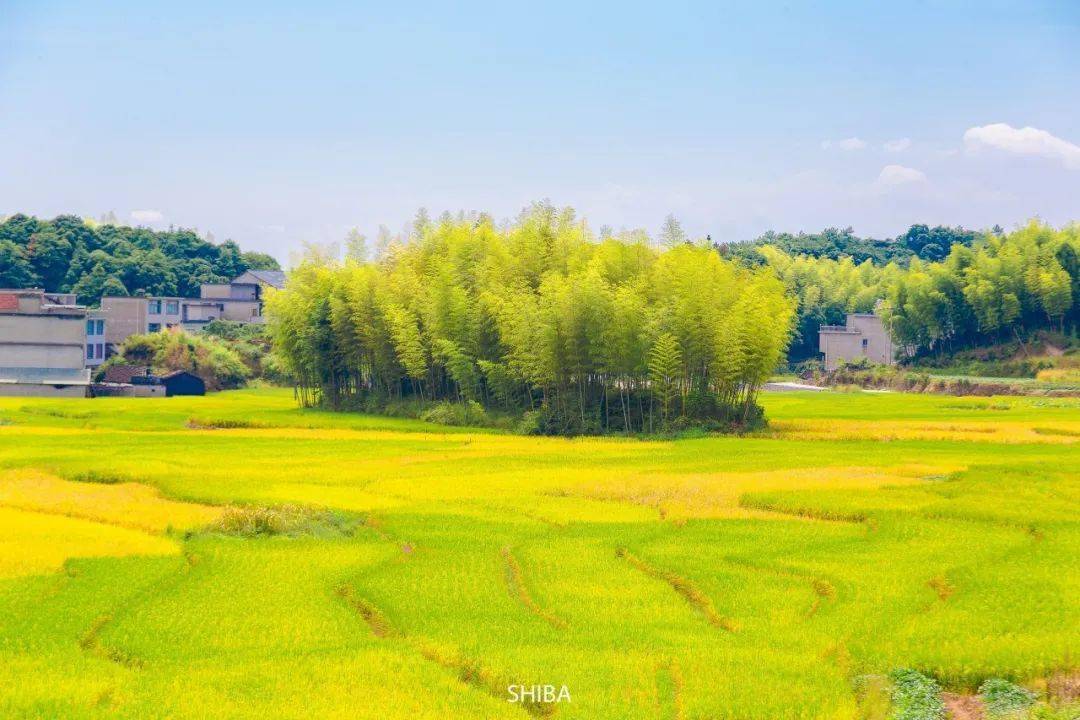 广和村人口_白塔镇广和村(2)