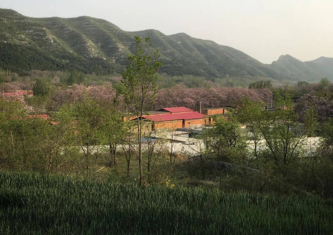 大坡村人口_人口普查图片(2)