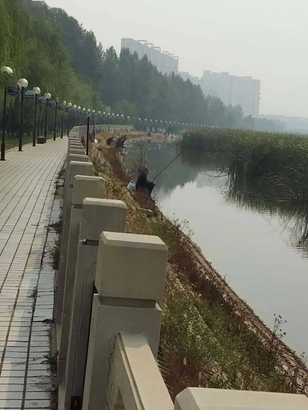 寿阳:滨河公园那些扔垃圾,遛狗,钓鱼,打鸟的人,必须谴责!_手机搜狐网