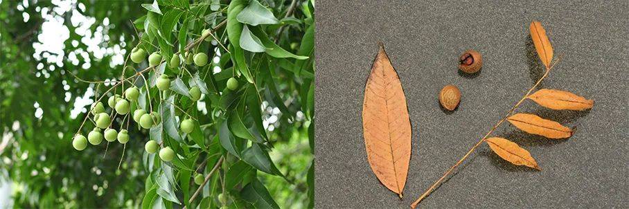 图片|说出来你可能不信,让鬼见愁的可能是洗手液