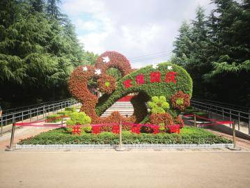 鲜花扮靓泉城 喜迎国庆佳节_花卉