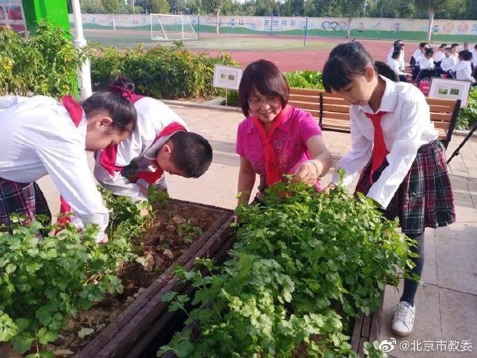 平谷|北京第二实验小学平谷分校师生“晒”丰收！