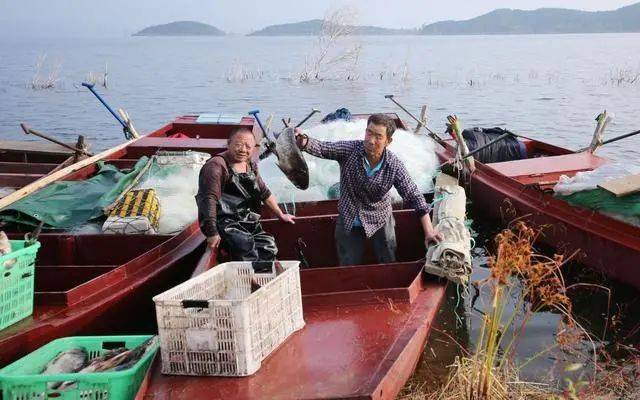 密云水库最新视频 7272819d39d94dffbf6d2f714e1f3150.jpeg