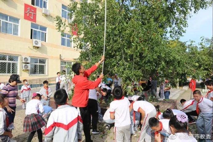 平谷|北京第二实验小学平谷分校师生“晒”丰收！