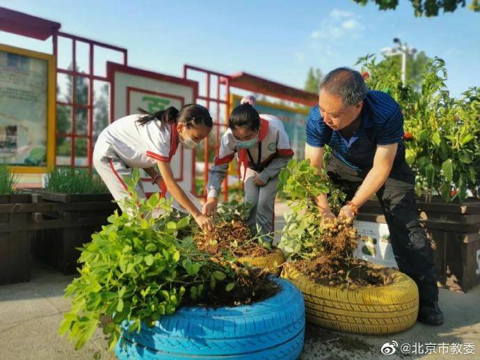 平谷|北京第二实验小学平谷分校师生“晒”丰收！