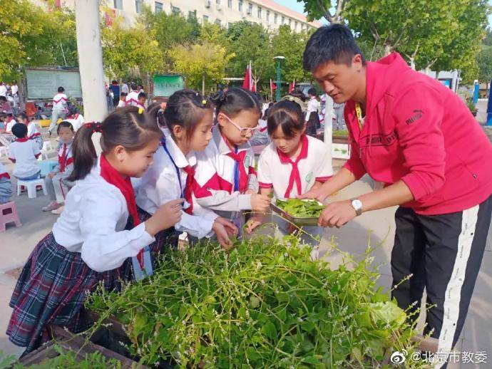 平谷|北京第二实验小学平谷分校师生“晒”丰收！