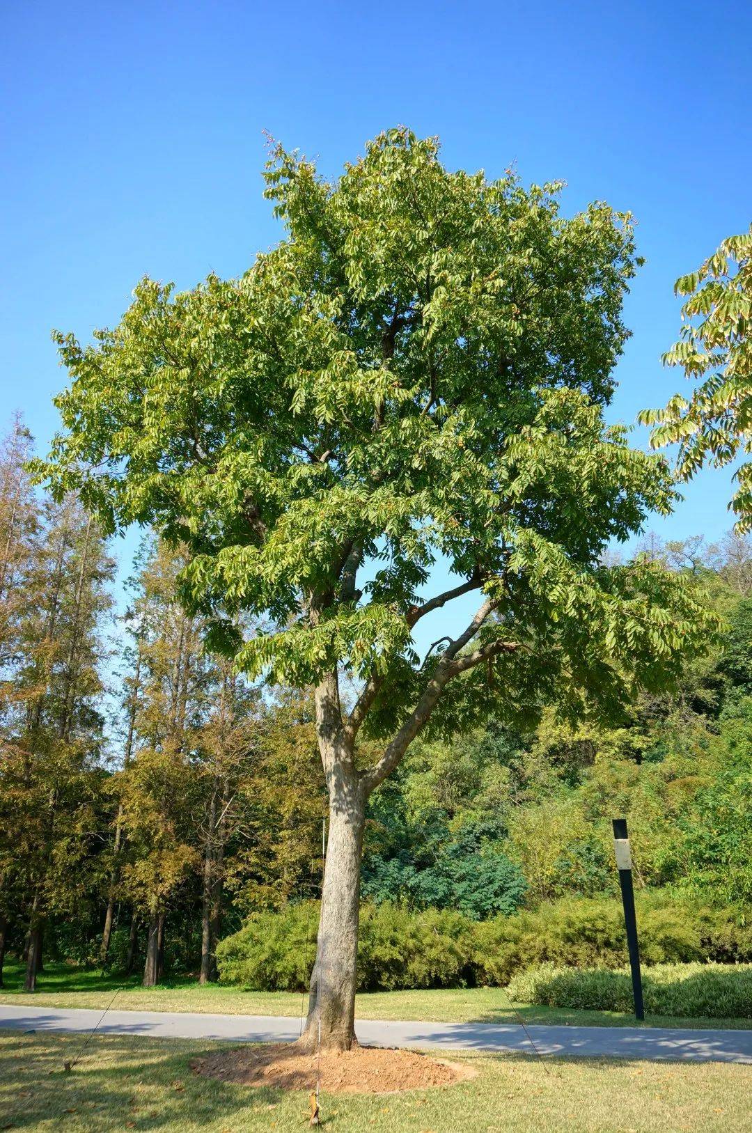 图片|说出来你可能不信,让鬼见愁的可能是洗手液