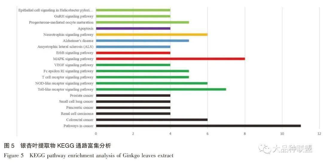 抗氧化原理是什么意思_抗氧化是什么意思