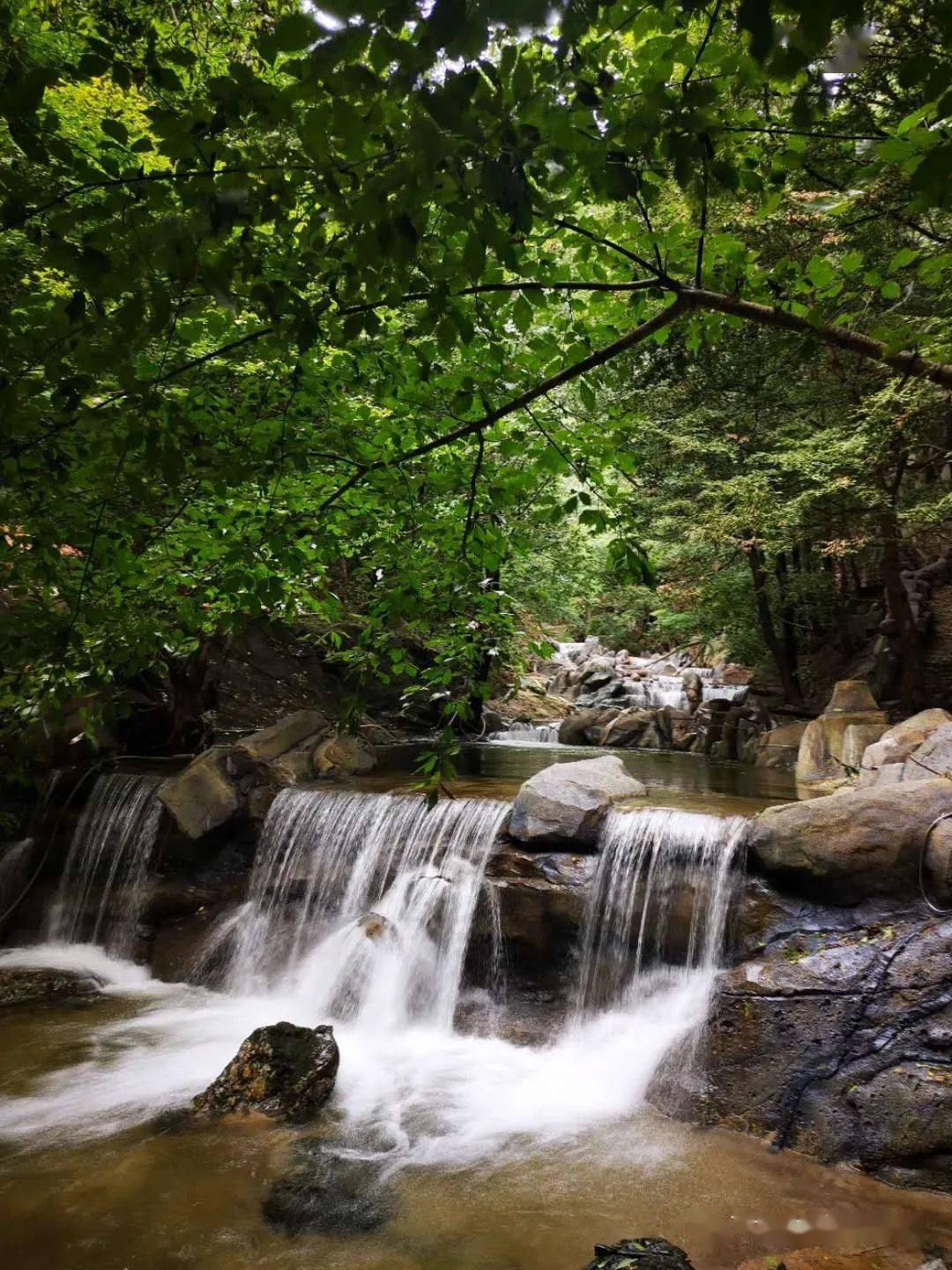 官宣:卢氏飞龙山景区9月26日正式开园迎宾!