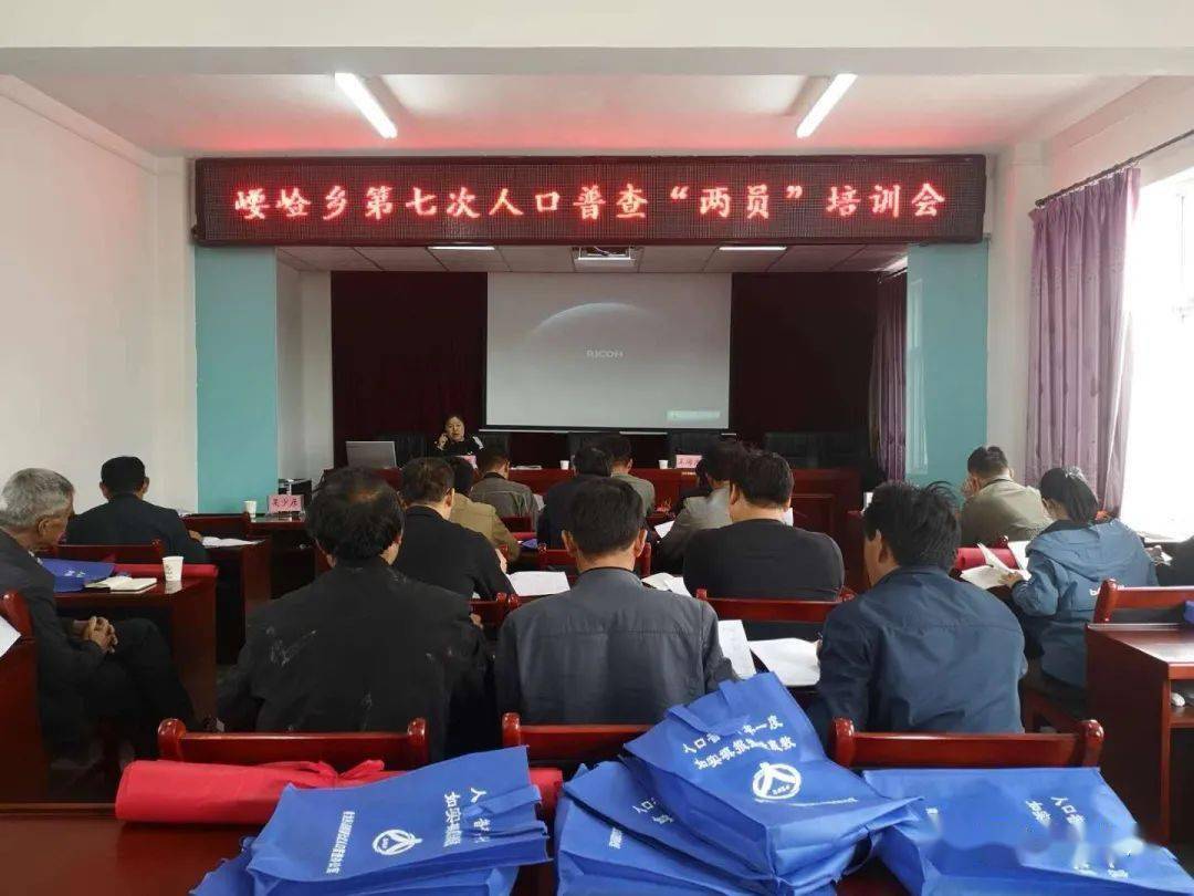 乡镇开展第七次人口普查工作_第七次人口普查图片