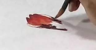 跟徐湛老师学国画～绶带鸟的画法!