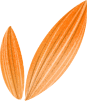 青菁|承包你夜宵的美食店今晚送福利了！喜市火锅、青菁酒家、阿三烧烤、虾掰聚煲盆...50份霸王餐、最低4.8折