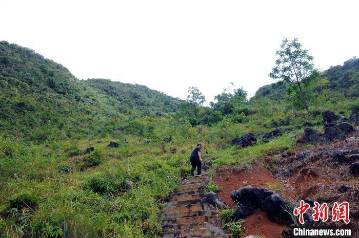 天梯|广西大化大石山区瑶胞求学路：从断崖天梯变坦途