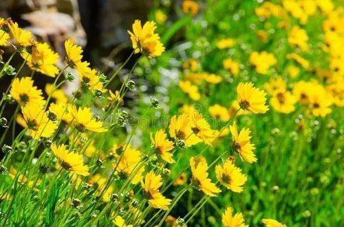 西游记|泰国版“西游记”登上了选美舞台？看完2020最令人迷惑的大尺度走秀，网友们都惊了