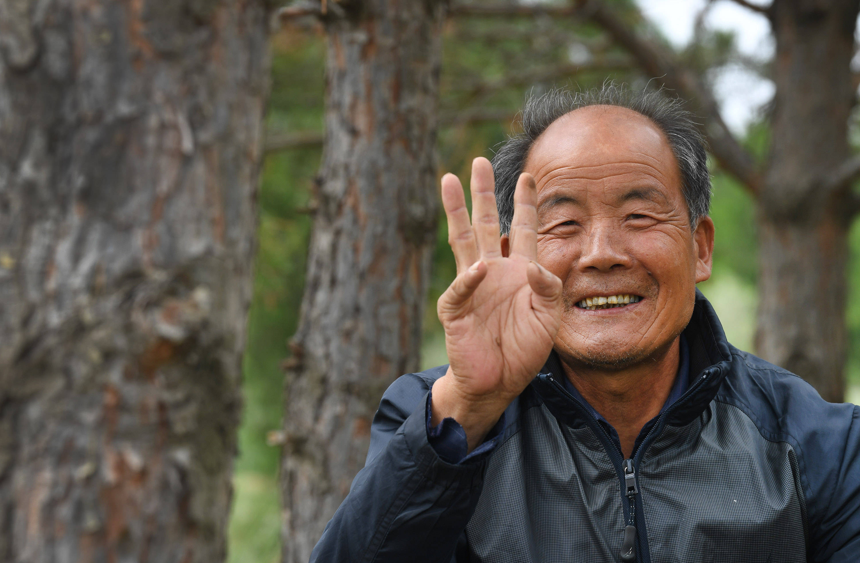 土窑洞|齐军祥：二十年绿化一座荒山