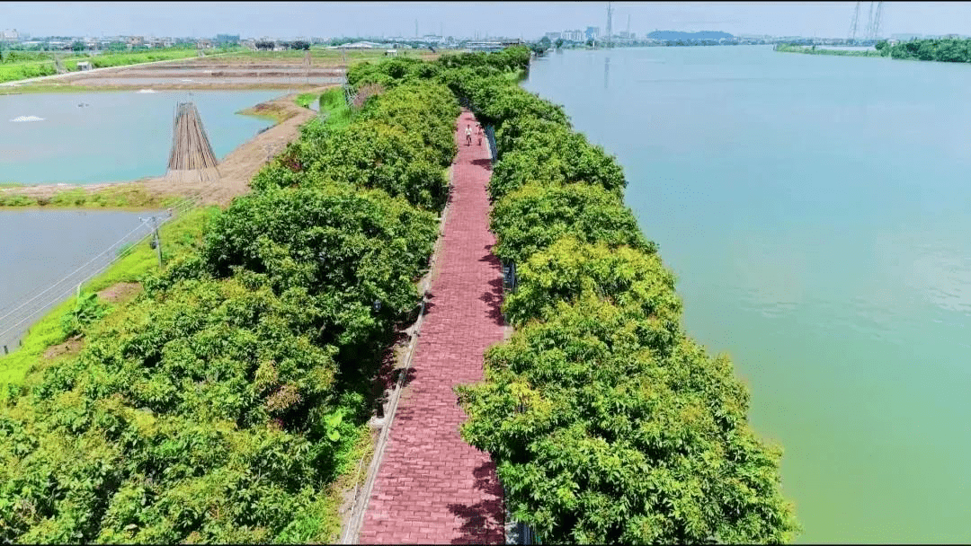 柘港镇有多少人口_柘皋镇(3)