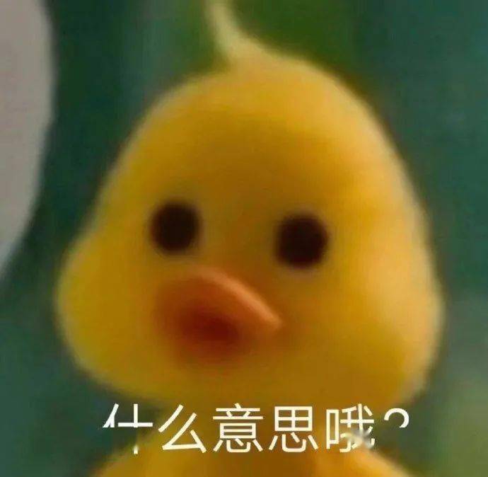 鸭鸭表情包