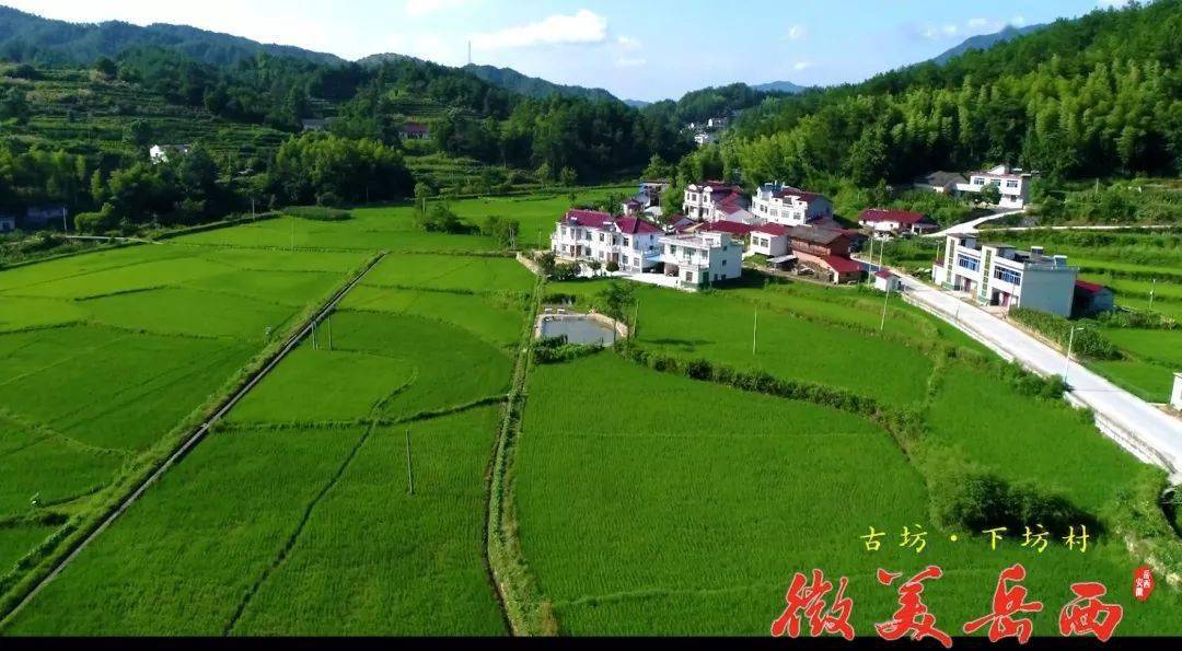 古坊乡人口_岳西古坊乡王松林(2)