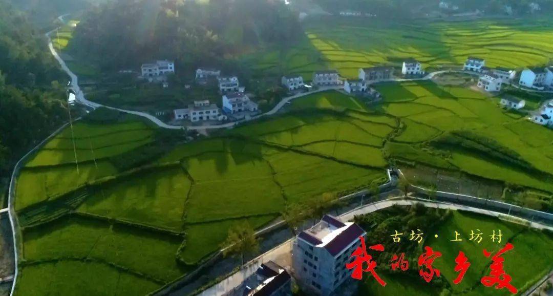 古坊乡人口_岳西古坊乡王松林(2)