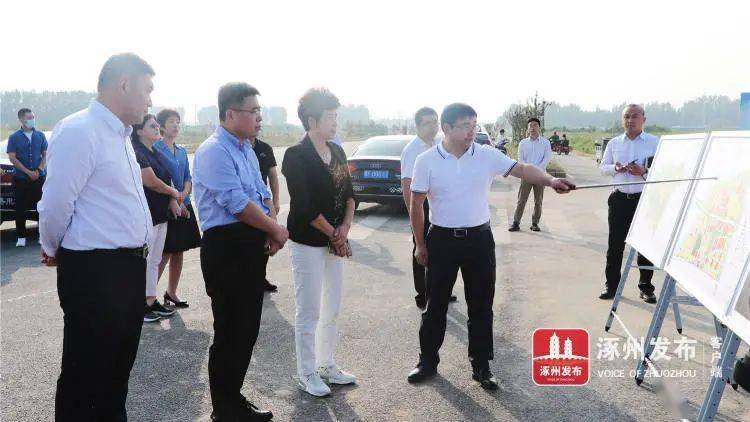 保定市人大常委会领导来涿调研_涿州