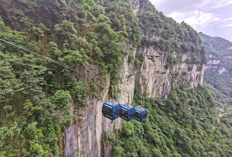 大方县油杉河景区荣获国家4a级旅游景区称号