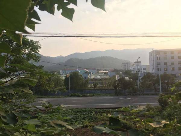 天台县|浙江一地惊现一处古墓！背后故事太震撼