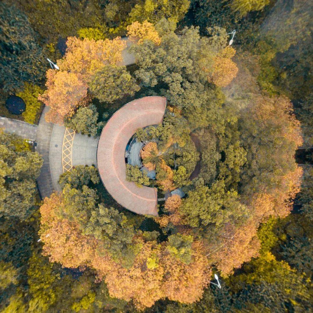 转载| 欢迎登陆"成理"宇宙的花样小星球