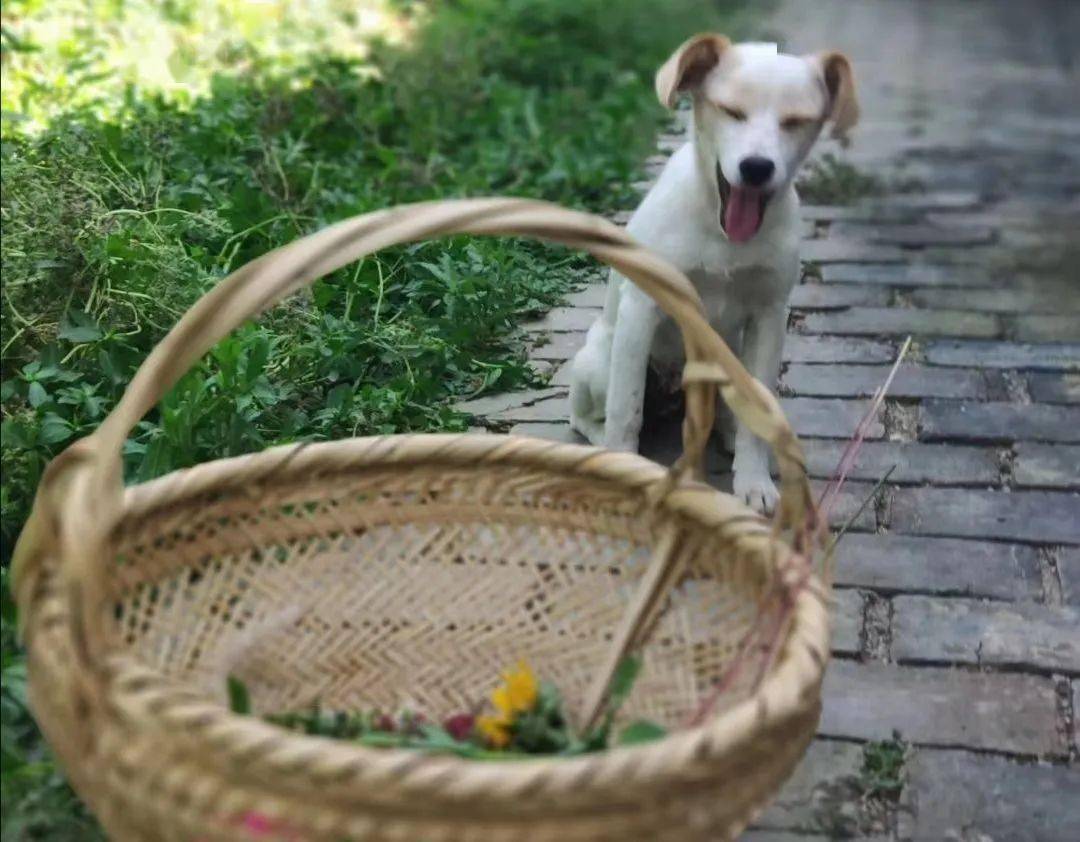 烧烤|秋天的第一次郊游！