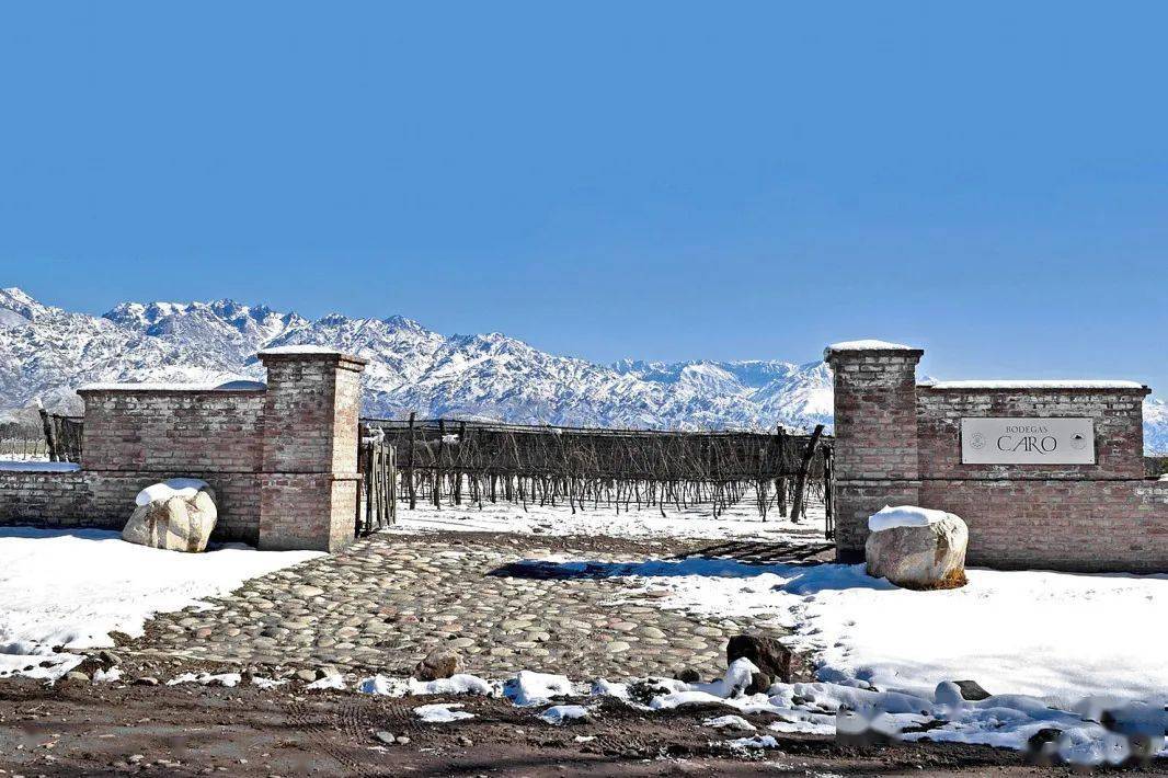 酒庄|旅途中总有好胃口带上一支红酒