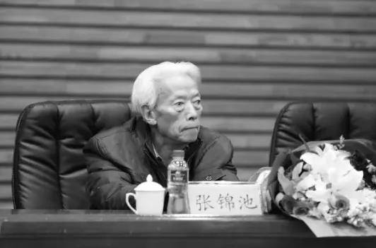 池先生|张锦池逝世