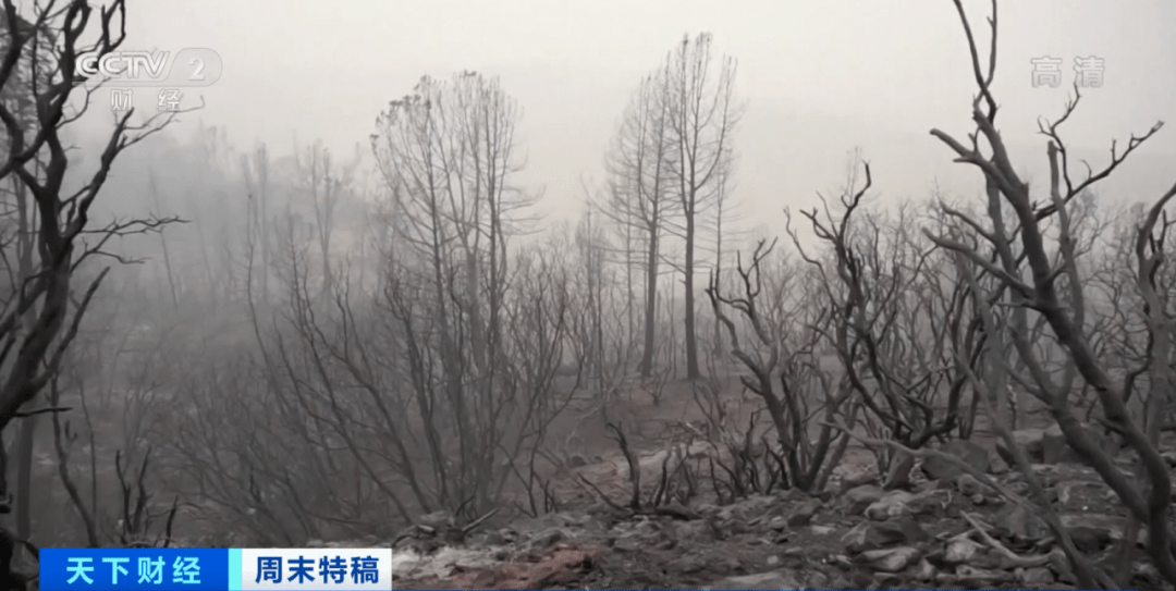 山区|史无前例！50万人紧急撤离！美国山火越烧越烈，为何大批人还涌向山区建房？