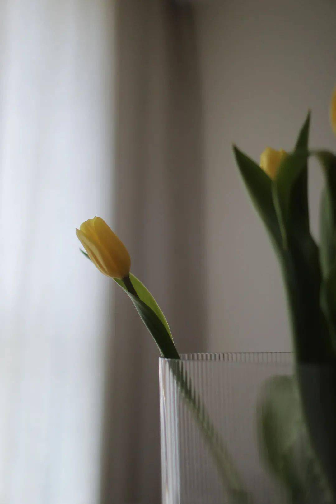 选择了|Moxin｜来啦 分享一期新家的 Roomtour