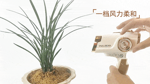 吹风机|这款高颜值电吹被疯狂种草，连戴森都要自叹不如！